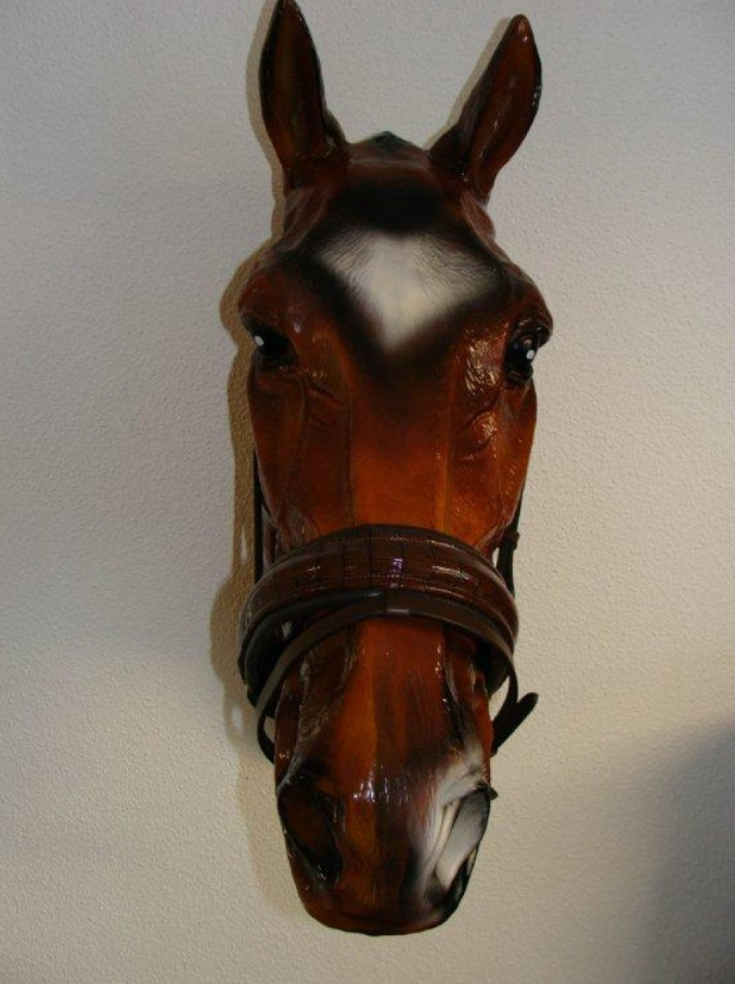 Croco Noseband