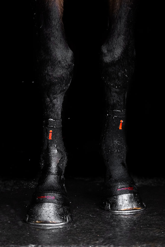 Circulation Hoof Sock