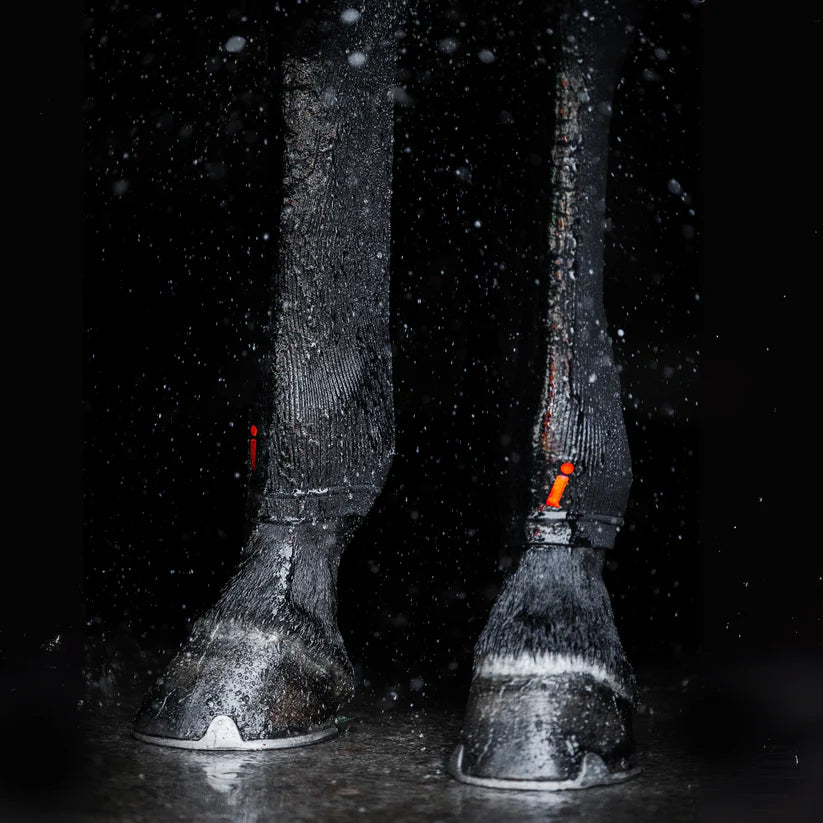 Circulation Hock Sock