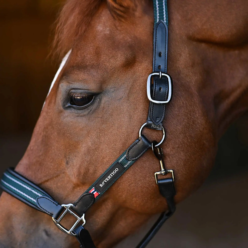 Lennox Leather Halter