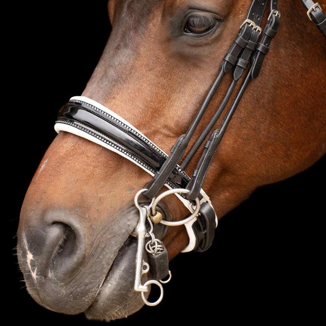 Olympia Weymouth Bridle