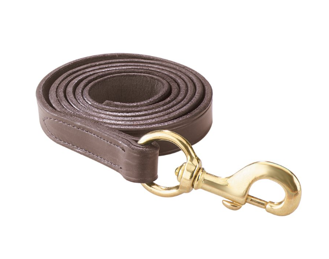 Turnout Halter - Havana