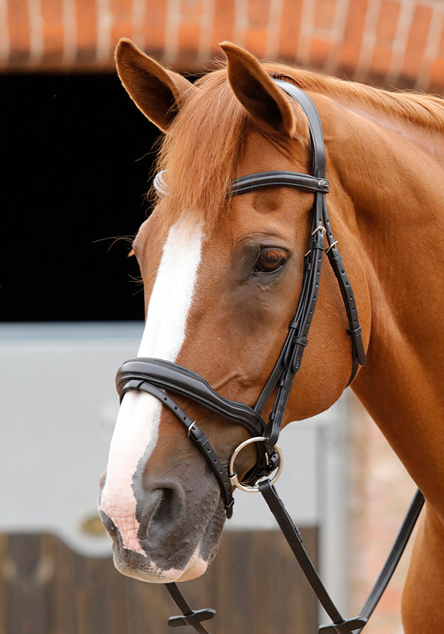 PE Sport Favoloso Anatomic Snaffle Bridle