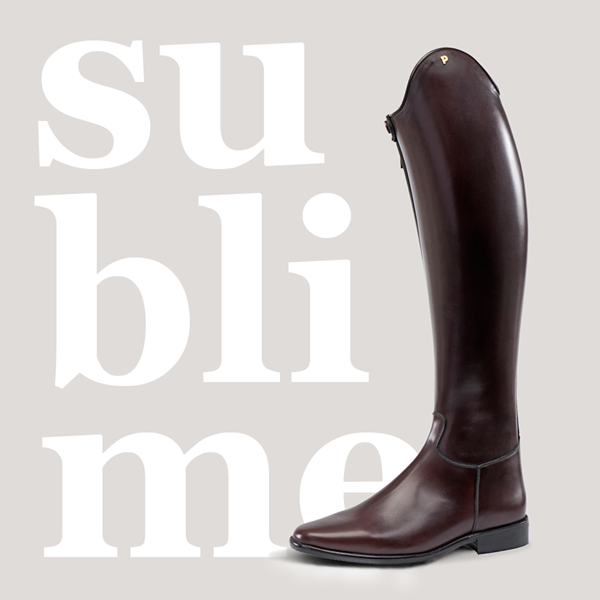 Petrie Boot deposits