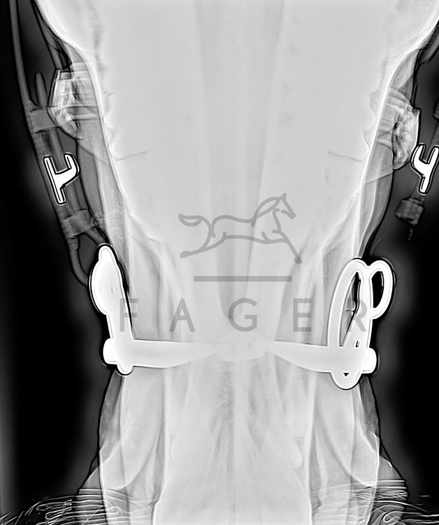 Carl Titanium Fixed Snaffle