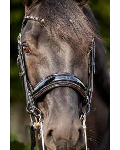 Especial Crystal Weymouth Bridle