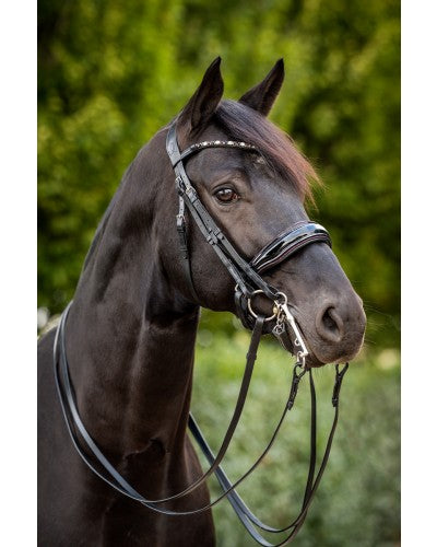 Especial Crystal Weymouth Bridle