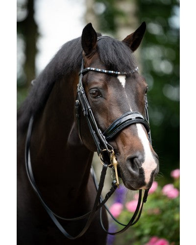 Especial Crystal Weymouth Bridle