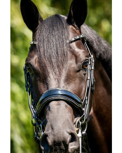 Especial Crystal Weymouth Bridle
