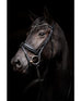 Evalira Crystal Snaffle Bridle
