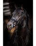 Evalira Crystal Snaffle Bridle
