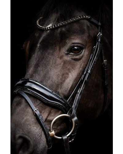 Evalira Crystal Snaffle Bridle