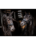 Evalira Crystal Snaffle Bridle