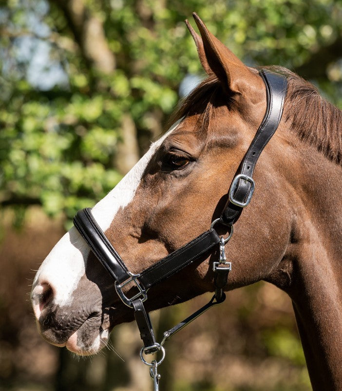 Glitty Halter
