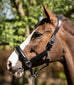 Glitty Halter