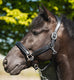 Glitty Halter