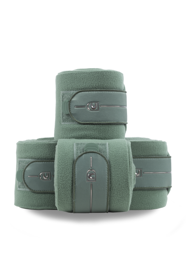 Cavallo Sea Green
