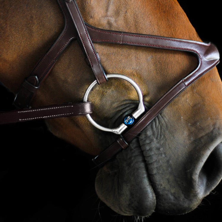 Carl Titanium Fixed Snaffle
