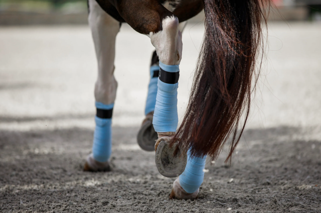 Equito - Morning Sky