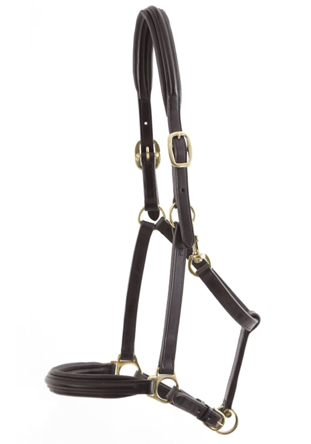Rego Padded Leather Halter