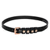 Pardouz Spur Straps