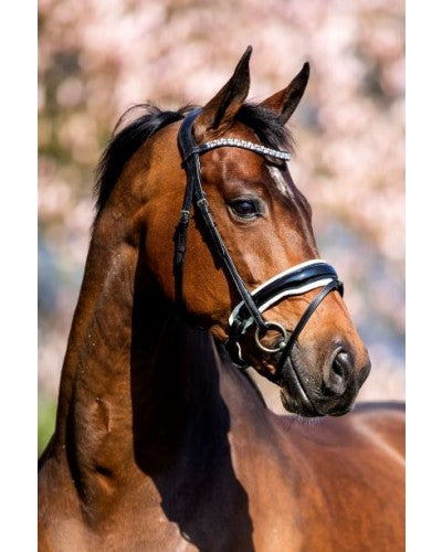 Showtime Fancy Snaffle Bridle