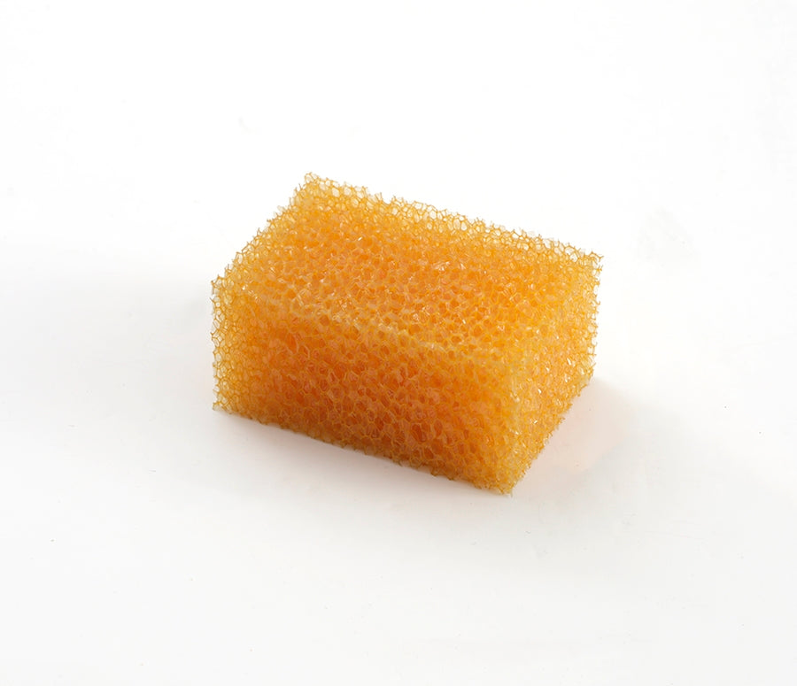 Sponges