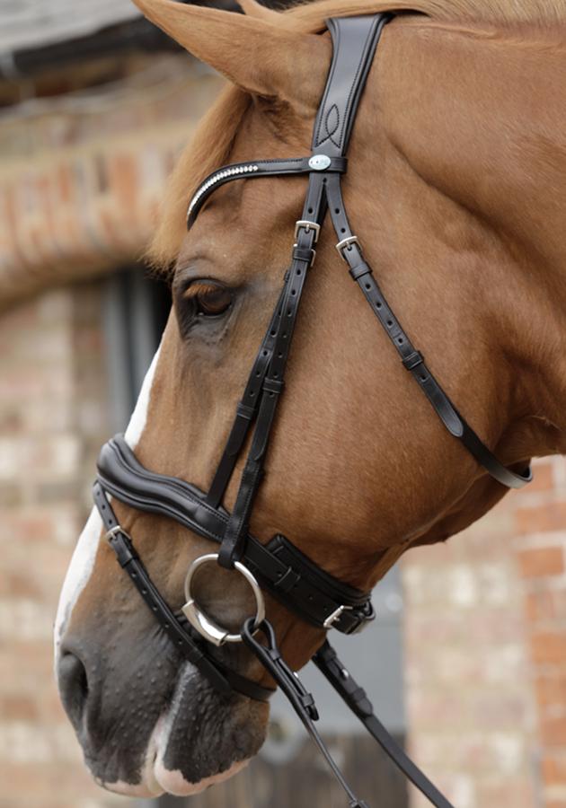 Stellazio Anatomic Snaffle Bridle