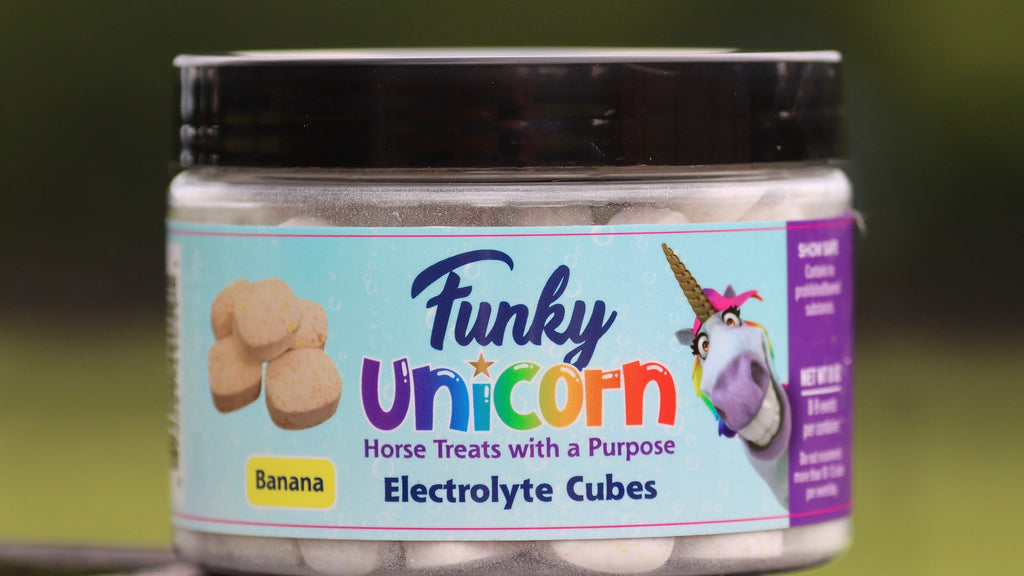 Sustain Electrolyte Cubes