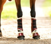 Gold Rush Sportboot