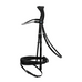 Favorite Snaffle