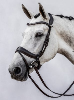 Paladin Snaffle Bridle