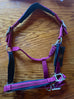BR/Anky Halters & Leads