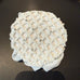 Bun Cover with Clips