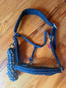 BR/Anky Halters & Leads