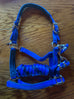 BR/Anky Halters & Leads
