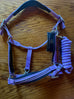 BR/Anky Halters & Leads