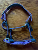 BR/Anky Halters & Leads