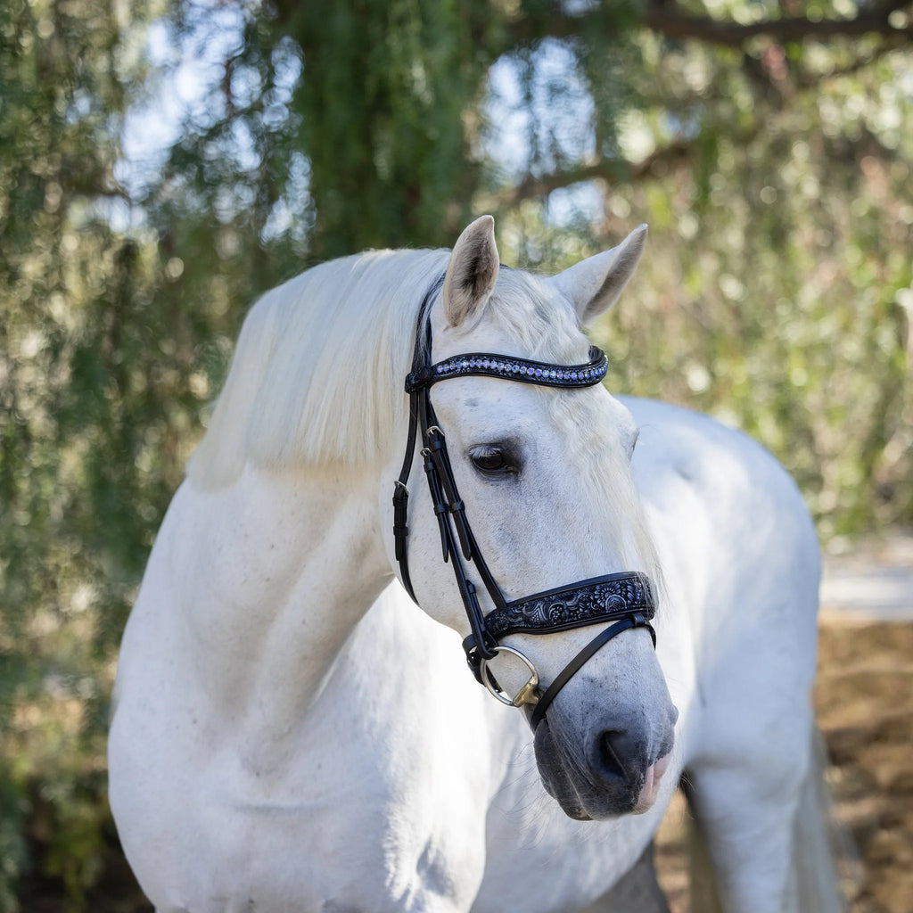 Munich Navy Snaffle Bridle