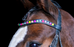 Neon Lights Browband