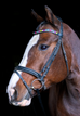 Neon Lights Browband