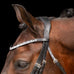 Olympia Weymouth Bridle