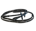 Raven Reins