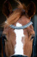 Snowflake Snaffle Bridle