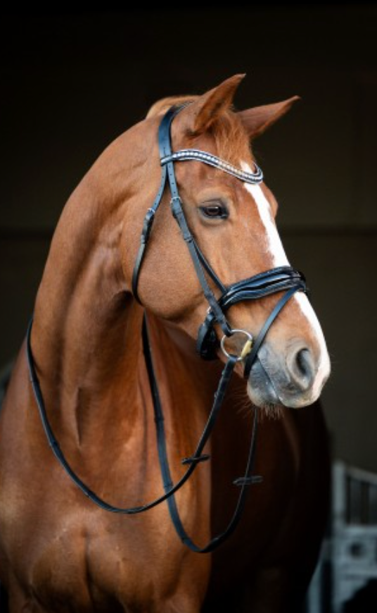 Snowflake Snaffle Bridle