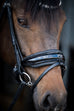 Stockholm Crystal Snaffle Bridle