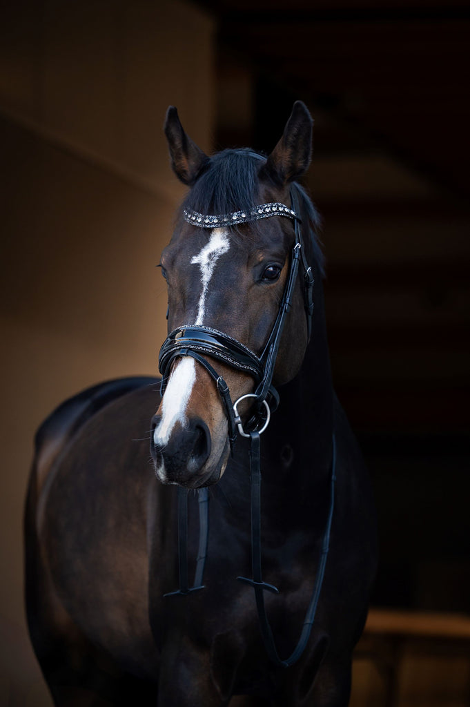 Saddle Horse Tack Dressage Équitation, cheval, cheval, anglais png