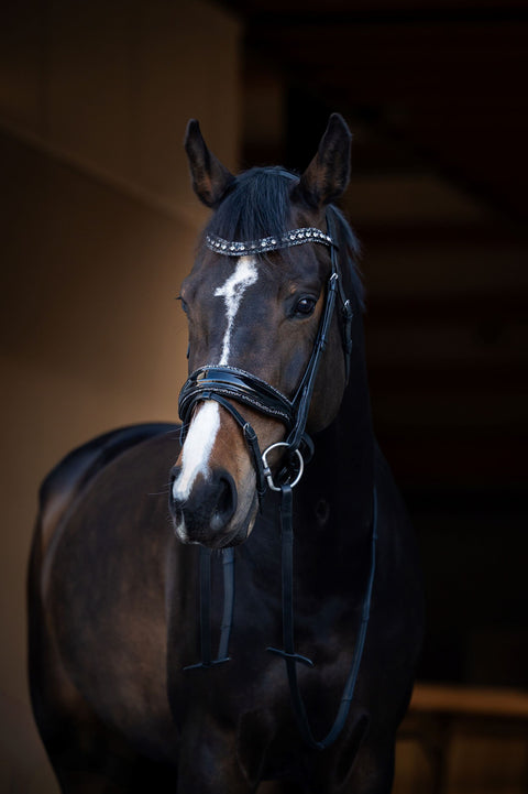 It's So Special Snaffle