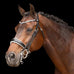 Olympia Weymouth Bridle
