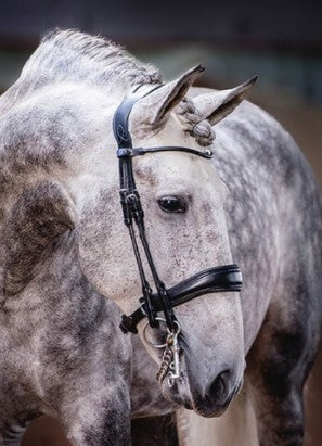 Passage Double Bridle